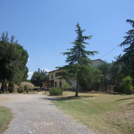 Agriturismo Podere Selvette Campagnatico Eksteriør billede
