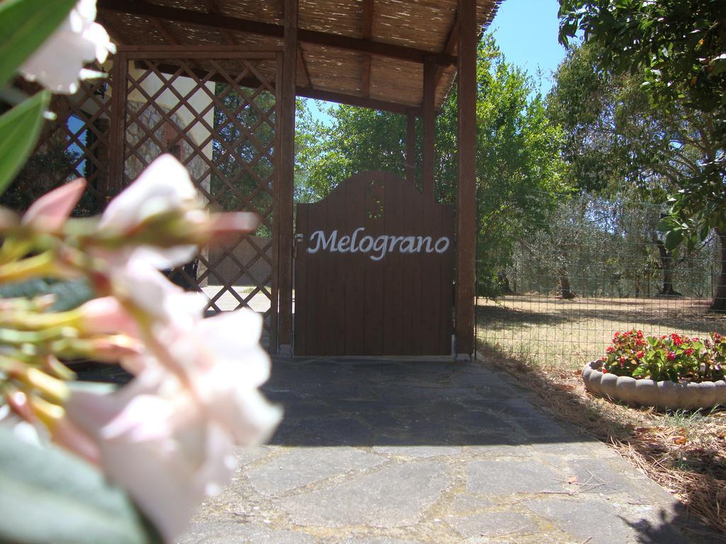 Agriturismo Podere Selvette Campagnatico Eksteriør billede