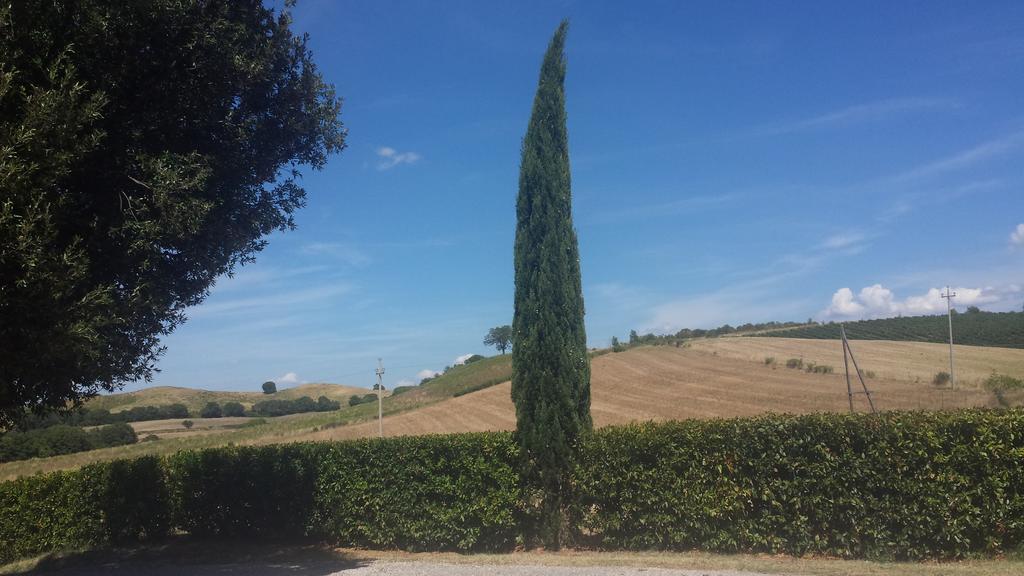 Agriturismo Podere Selvette Campagnatico Eksteriør billede