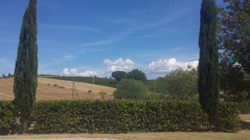 Agriturismo Podere Selvette Campagnatico Eksteriør billede