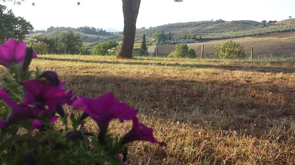 Agriturismo Podere Selvette Campagnatico Eksteriør billede