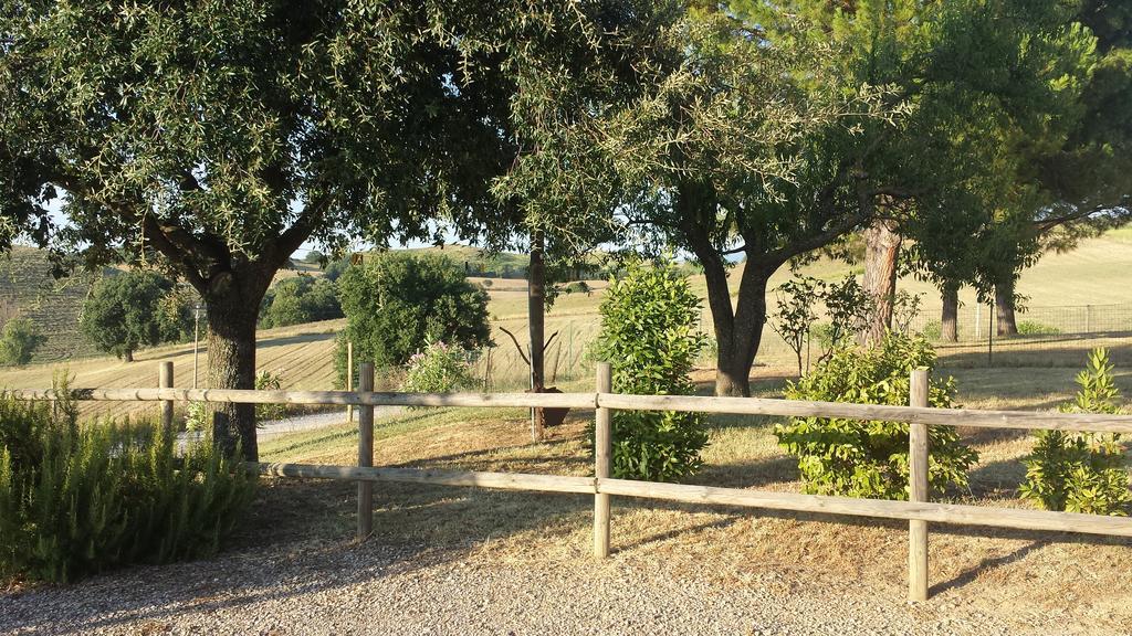 Agriturismo Podere Selvette Campagnatico Eksteriør billede
