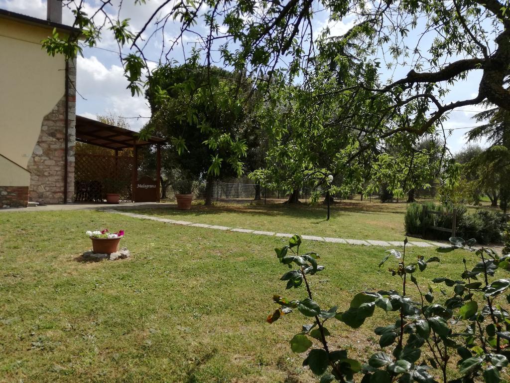 Agriturismo Podere Selvette Campagnatico Eksteriør billede
